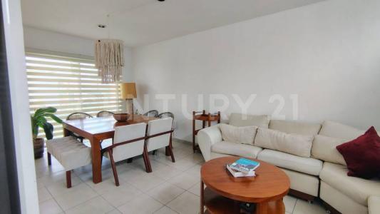 Calle dos 280,, Cuernavaca, מורלוס 62180, מקסיקו 