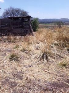 San Juanito Itzícuaro SN,, Morelia, Michoacán 58341, 墨西哥