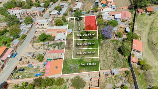 Norte, Cochabamba 00001, Bolivie