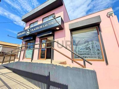 Elqui, Coquimbo 00001, צ'ילה 