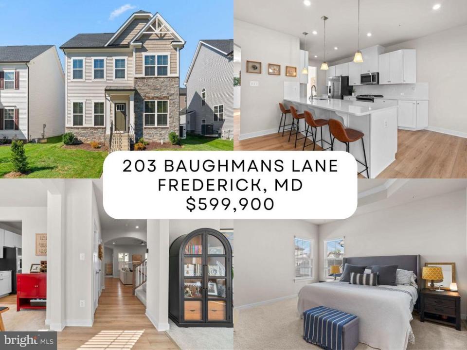 203 Baughmans Lane, Frederick, 马里兰州 21702, 美国