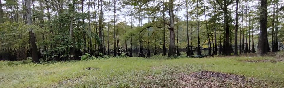 4668 Calhoun 245, Hampton, ארקנסו 71744, ארצות הברית של אמריקה 