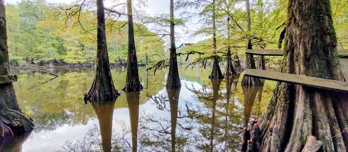 4668 Calhoun 245, Hampton, ארקנסו 71744, ארצות הברית של אמריקה 