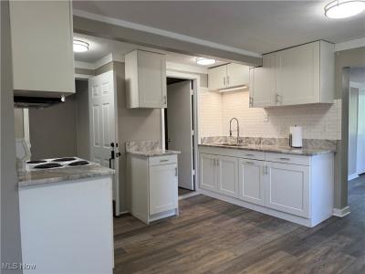 416 2nd Street, Fairport Harbor, אוהיו 44077, ארצות הברית של אמריקה 