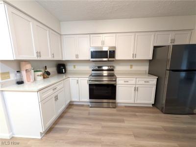 210 Teal Trace #210, Mayfield Heights, Ohio 44124, HOA KỲ