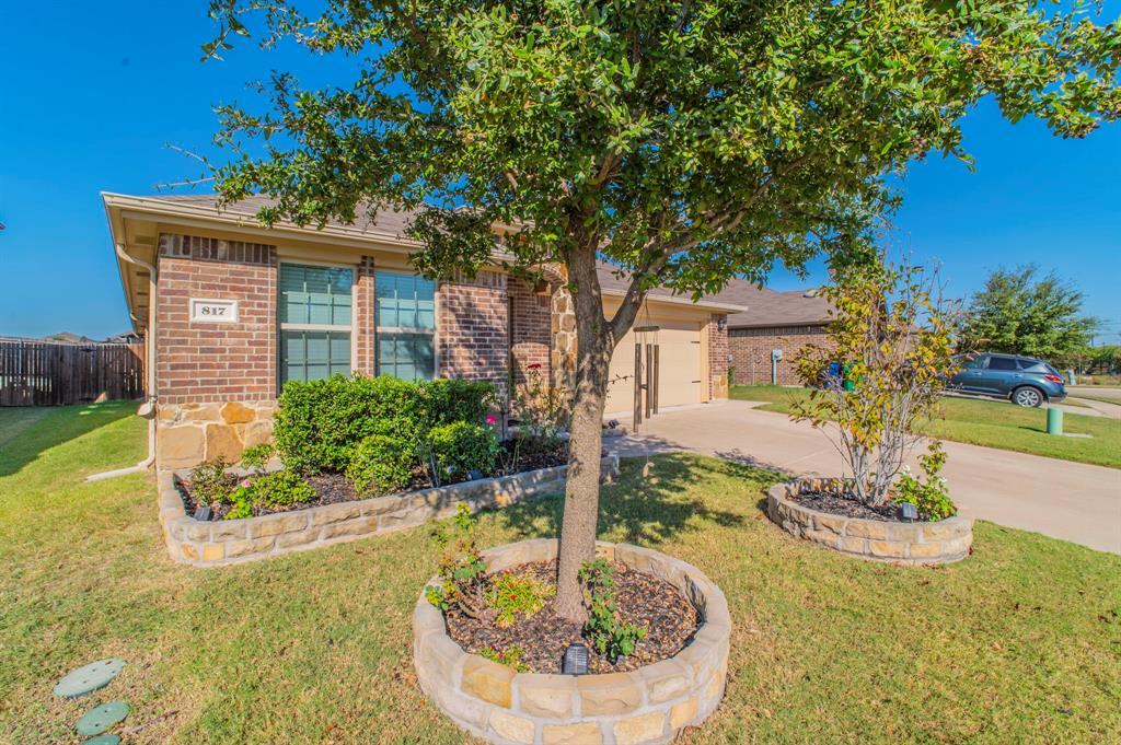 817 Horton Street, Fate, Texas 75189, HOA KỲ