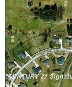 1000~Lot #91 Sawmill Creek, Saginaw, Michigan 48603
