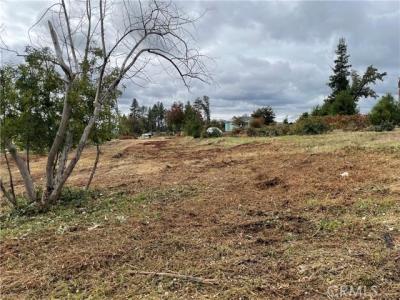 6636 View Acres Drive, Paradise, 加州 95969, 美國