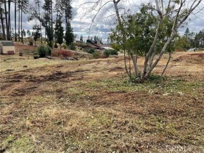 6636 View Acres Drive, Paradise, 加州 95969, 美國