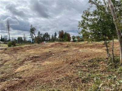 6636 View Acres Drive, Paradise, 加州 95969, 美國