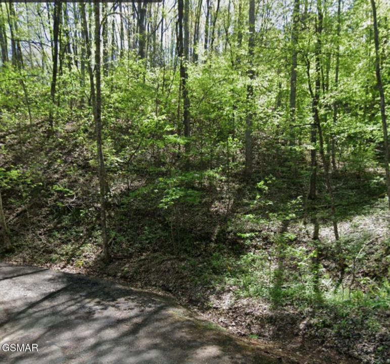 Lot 331 Ridgefield Drive, Sevierville, Tennessee 37876