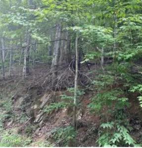 Lot 331 Ridgefield Drive, Sevierville, Tennessee 37876