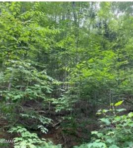 Lot 331 Ridgefield Drive, Sevierville, Tennessee 37876
