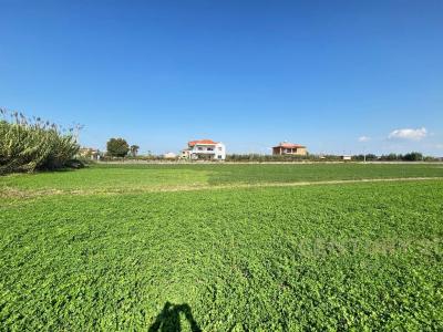 Xhafzotaj, Shijak, Albania