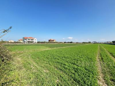 Xhafzotaj, Shijak, Albania