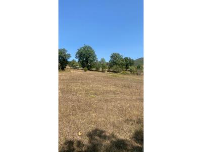 Shishtufinë, Tirana, Albania