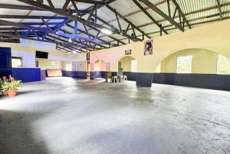 Windsor Forest, St.David West Indies, グレナダ