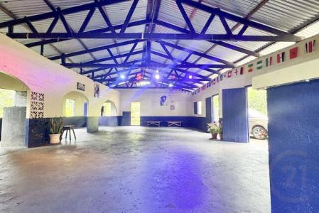 Windsor Forest, St.David West Indies, グレナダ