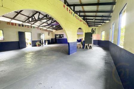 Windsor Forest, St.David West Indies, グレナダ