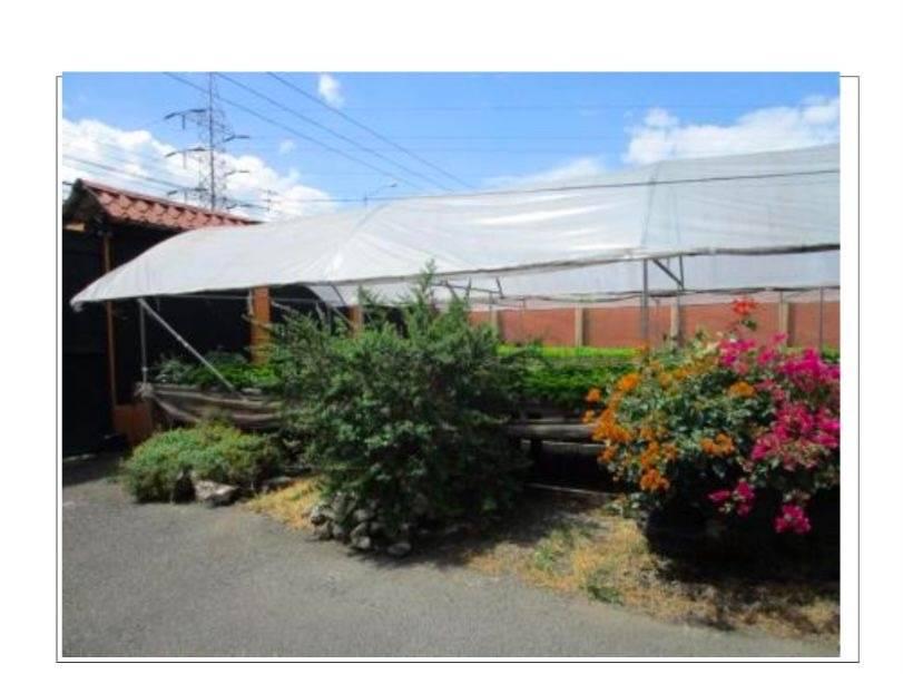 Guácima Alajuela, Alajuela 00001, Costa Rica