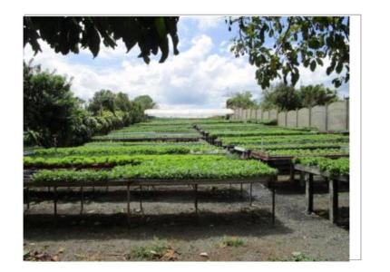 Guácima Alajuela, Alajuela 00001, Costa Rica