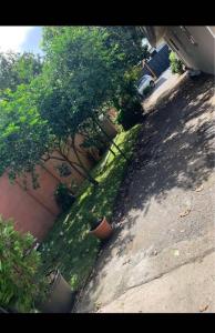 Guácima Alajuela, Alajuela 00001, Costa Rica