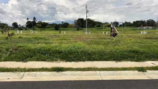 Central-Alajuela Central, Alajuela 00001, Costa Rica