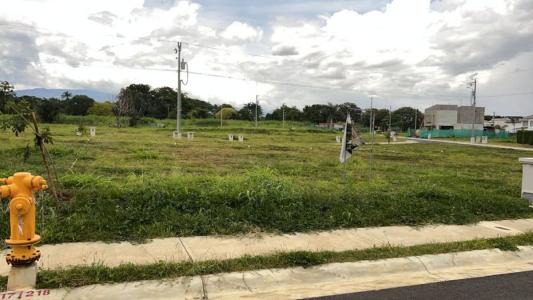 Central-Alajuela Central, Alajuela 00001, Costa Rica