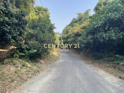 花壇福岩段, Huatan Township, Changhua County 503, 台湾