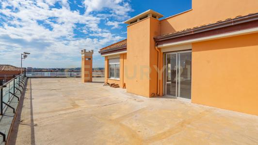 Via dell'Olmata, 로마, Lazio 00187, 이탈리아