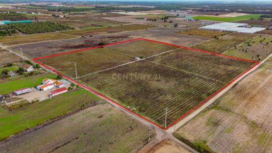 Palmela, Setubal 2985-133, Portugal