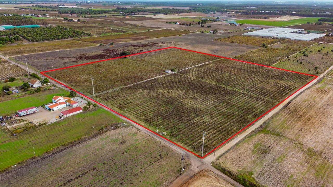 Palmela, 塞图巴尔 2985-133, 葡萄牙