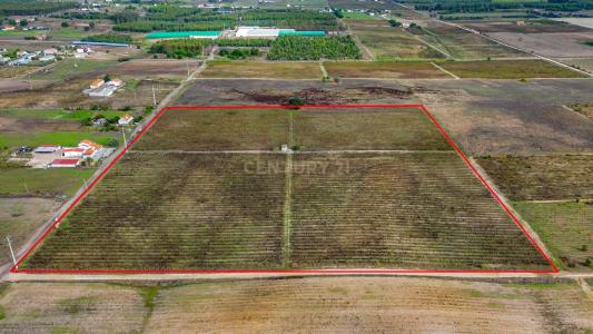 Palmela, 塞图巴尔 2985-133, 葡萄牙