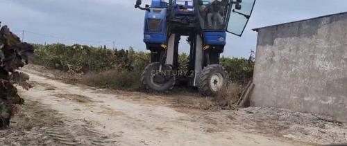 Palmela, 塞图巴尔 2985-133, 葡萄牙