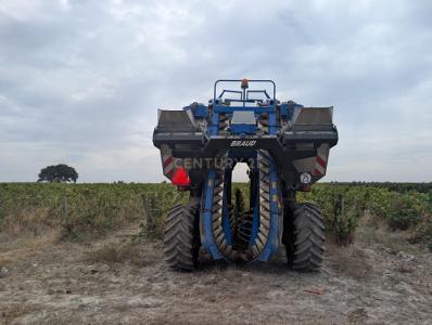 Palmela, 塞图巴尔 2985-133, 葡萄牙