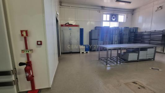 Setubal, Setubal 2910-001, Portugal