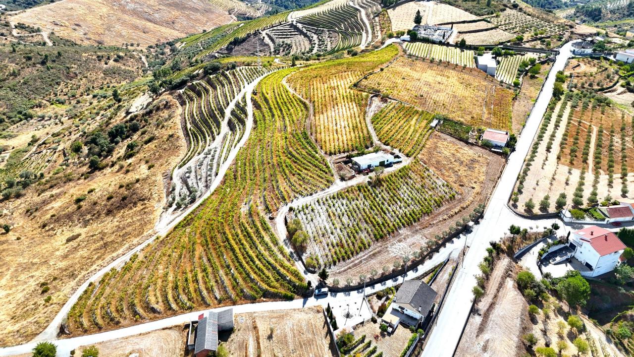 São João Da Pesqueira, Viseu 5130-023, Portugal