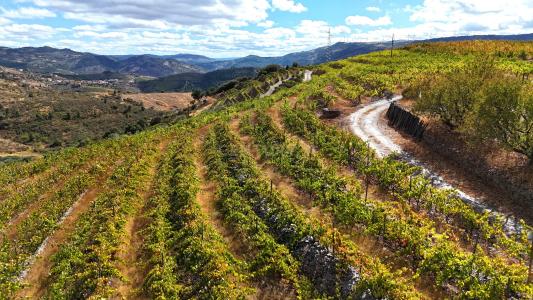 São João Da Pesqueira, Viseu 5130-023, Portugal
