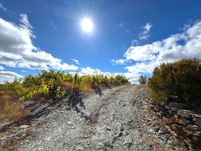 São João Da Pesqueira, Viseu 5130-023, Portugal