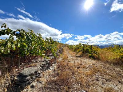 São João Da Pesqueira, Viseu 5130-023, Portugal