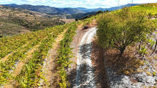 São João Da Pesqueira, Viseu 5130-023, Portugal