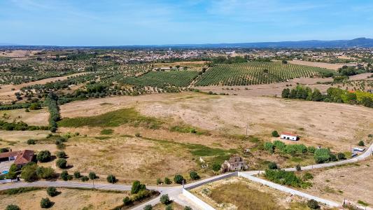 Torres Novas, Santarem 2350-050, Portugal