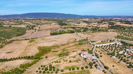 Torres Novas, Santarem 2350-050, Portugal