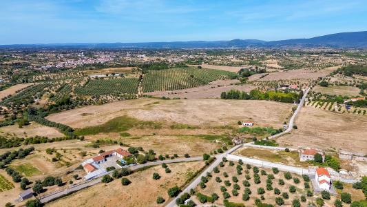 Torres Novas, Santarem 2350-050, Portugal
