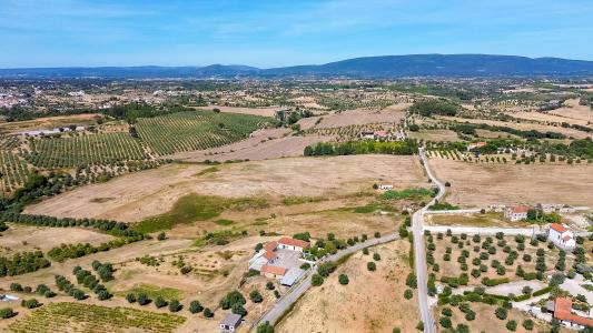 Torres Novas, Santarem 2350-050, Portugal