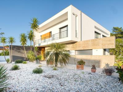 Nazaré, Leiria 2450-284, Portugal