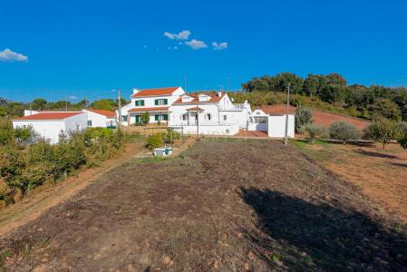 Cadaval, Lisbon 2550-019, Portugal