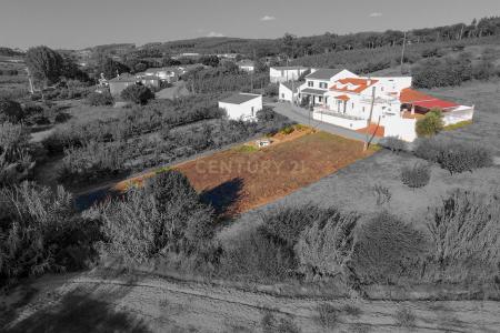 Cadaval, Lisbon 2550-019, Portugal