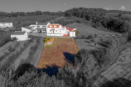 Cadaval, Lisbon 2550-019, Portugal