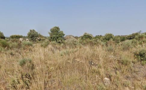 Salamanca, Castilla Y León 37488, Espanha